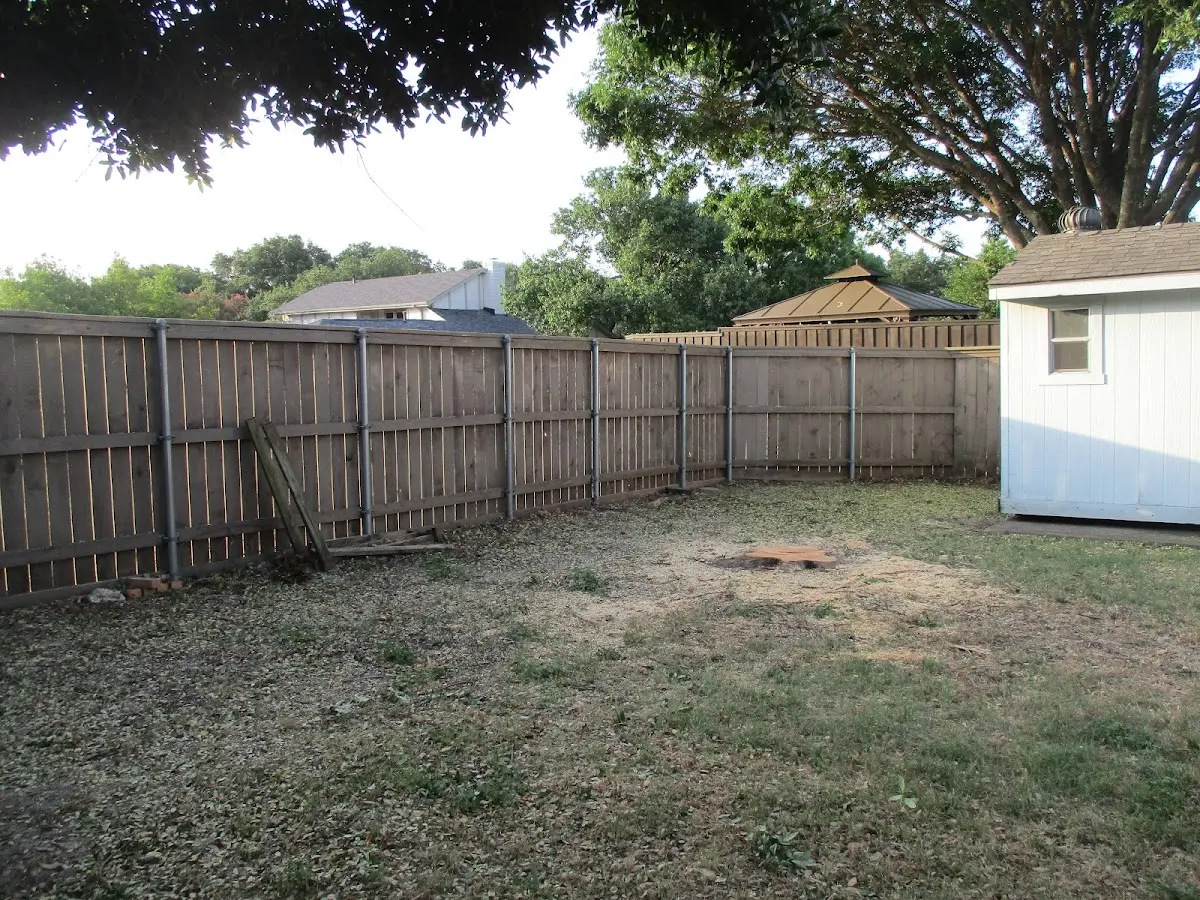 Cleared yard after professional tree removal in Belle Plaine